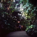 Krohn Conservatory